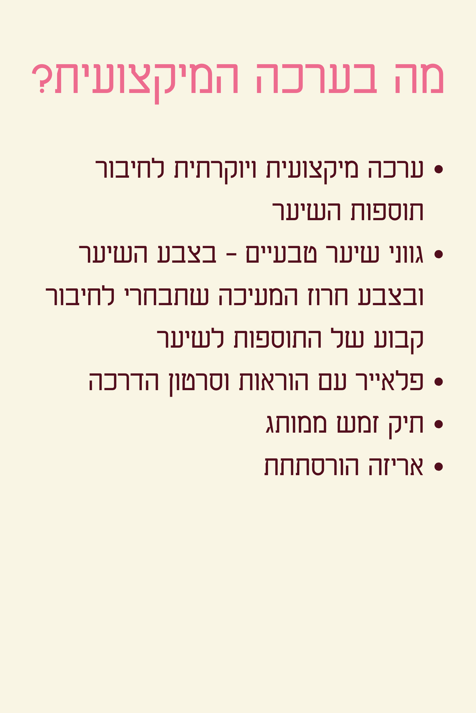 הערכה המיקצועית
