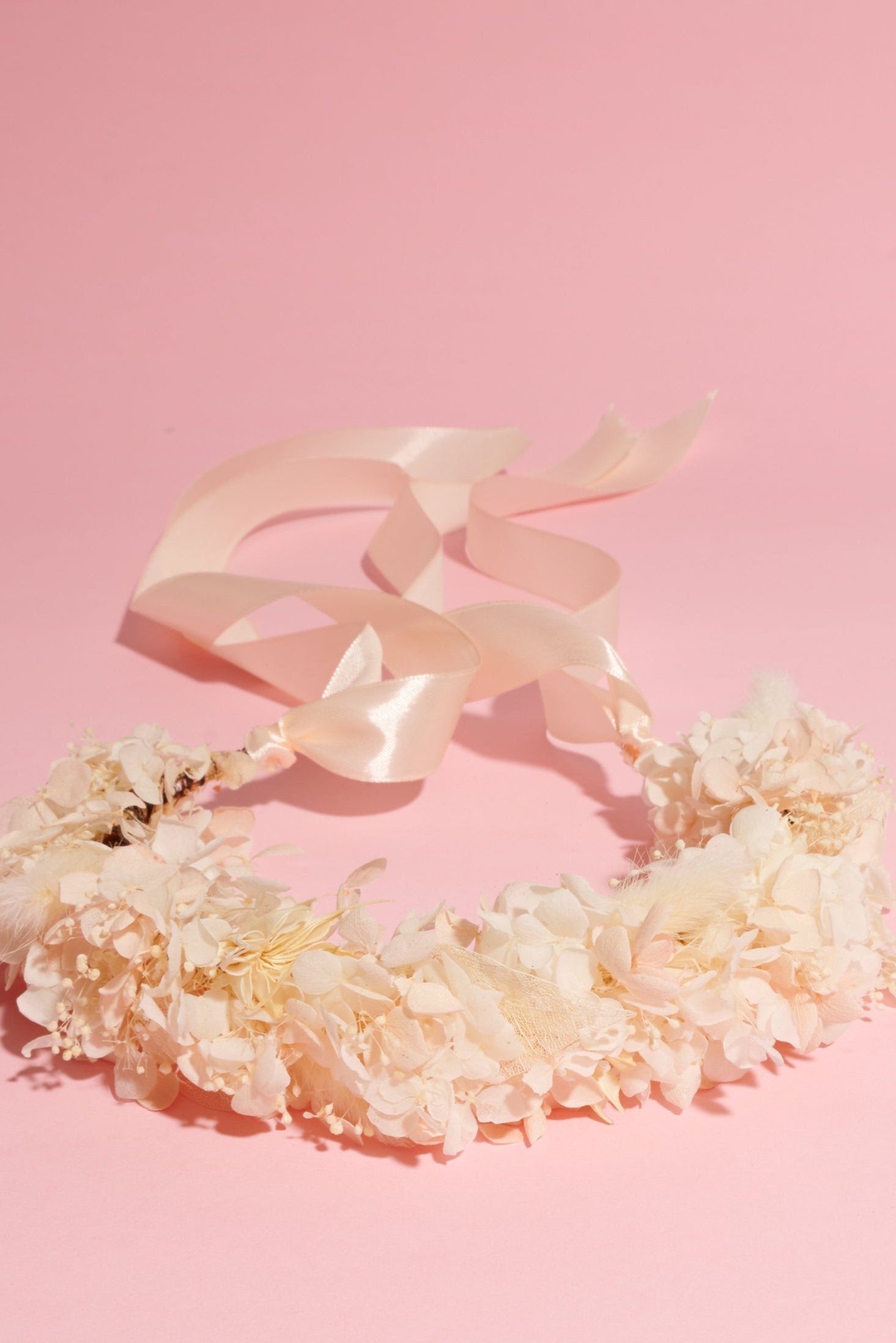 White Crown - Shufizoo
