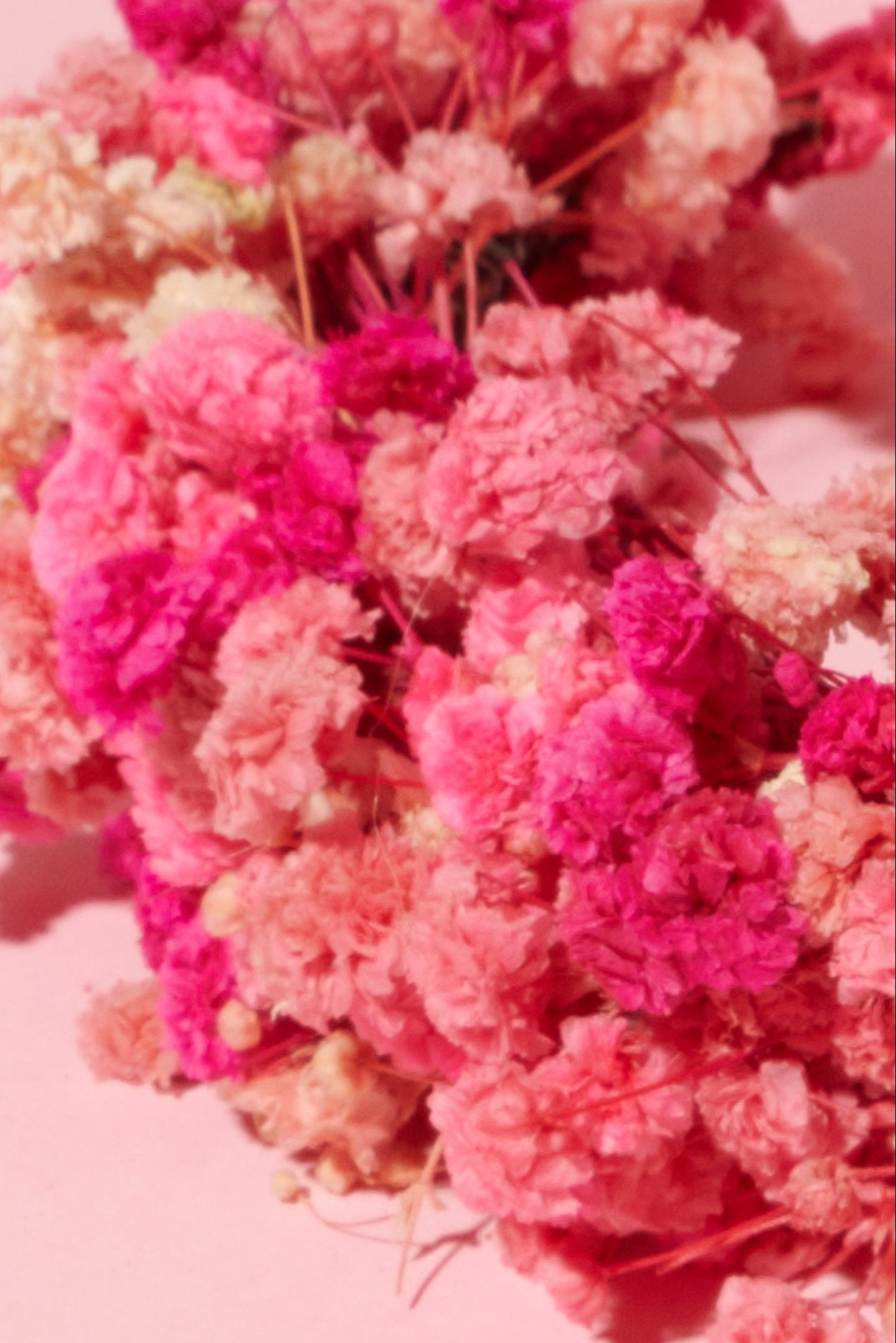 Pink baby&